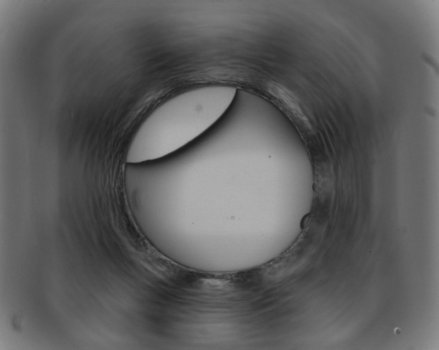 X0000092030167200709061358