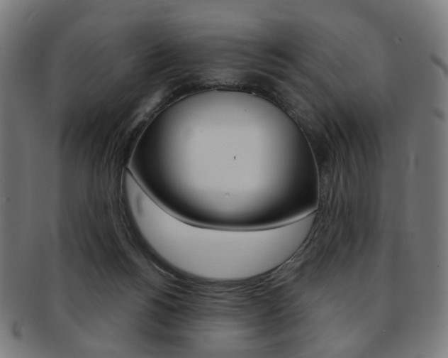 X0000092030168200709061358
