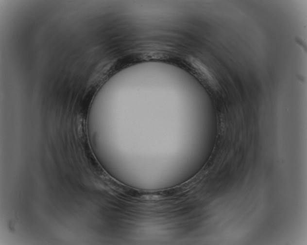 X0000092030169200709061358