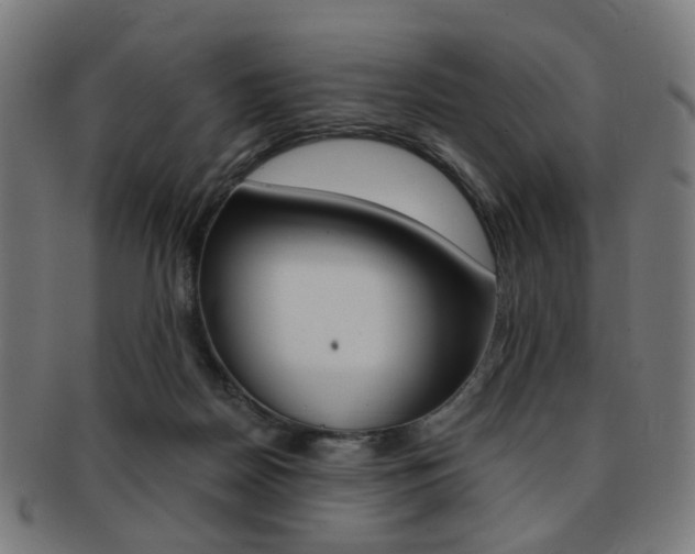 X0000092030170200709061358