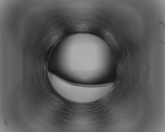X0000092030172200709061358
