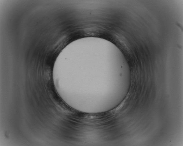 X0000092030174200709061358