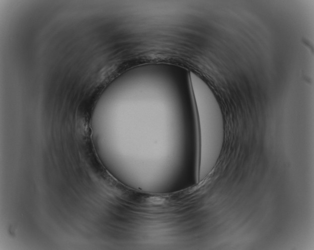 X0000092030176200709061358