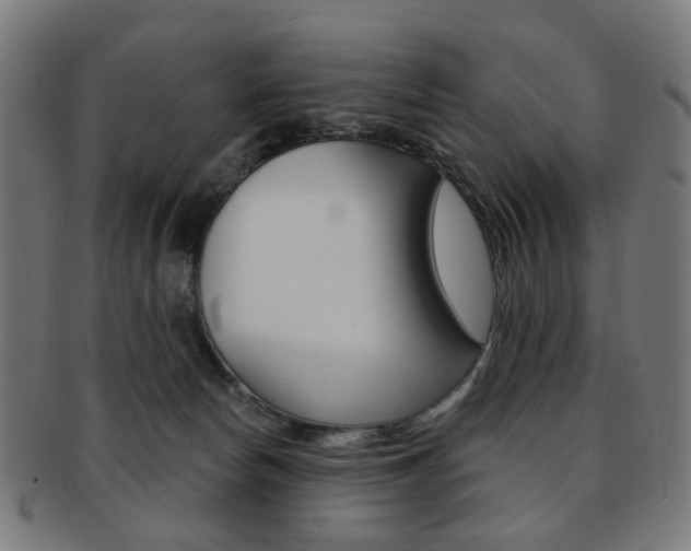X0000092030178200709061358