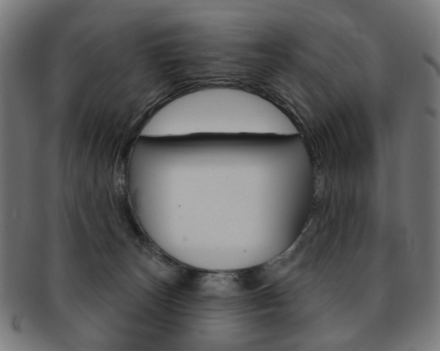 X0000092030179200709061358