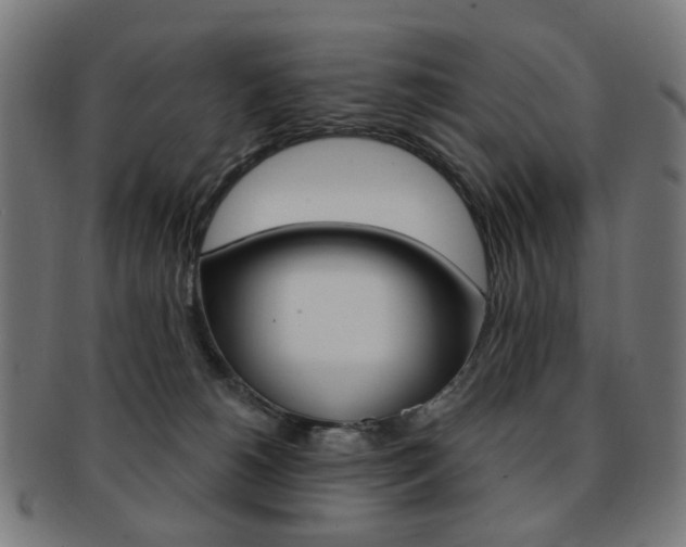 X0000092030180200709061358