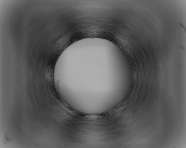 X0000092030181200709061358