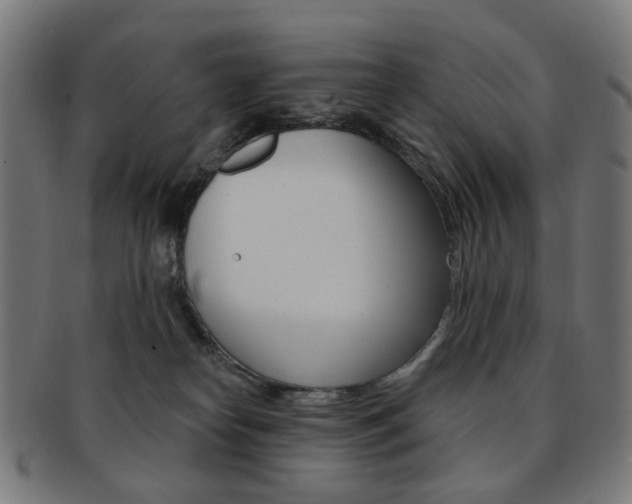 X0000092030182200709061358
