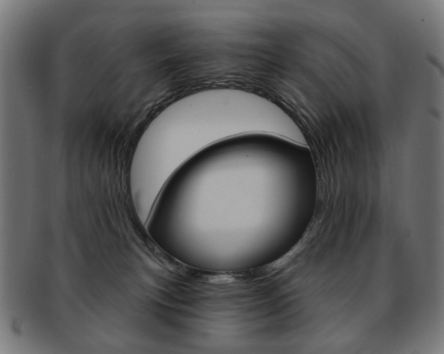 X0000092030183200709061358