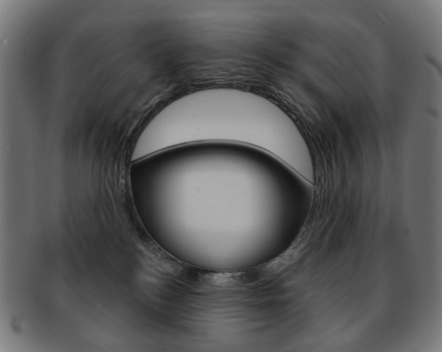 X0000092030184200709061358