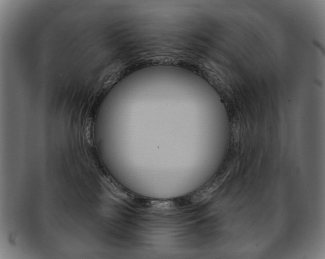 X0000092030185200709061358