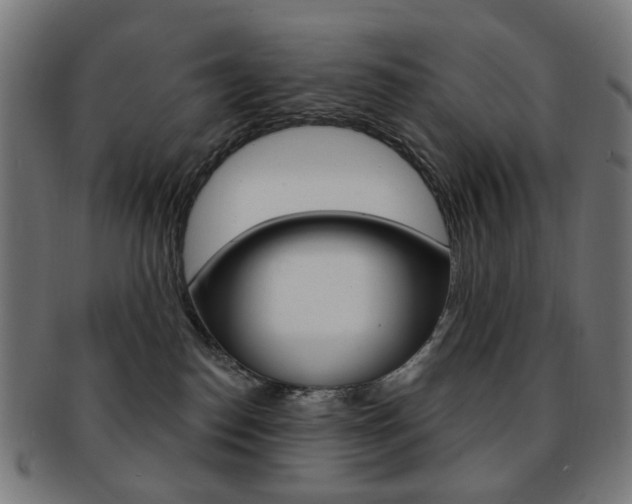 X0000092030186200709061358
