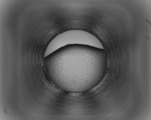 X0000092030187200709061358