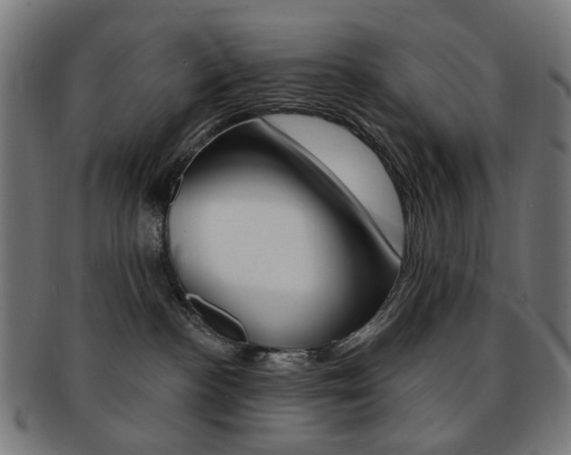 X0000092030188200709061358