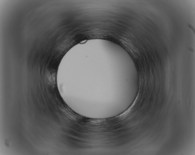 X0000092030190200709061358