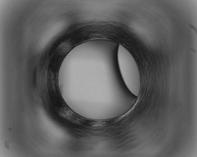 X0000092030191200709061358