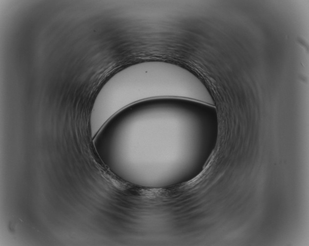 X0000092030192200709061358