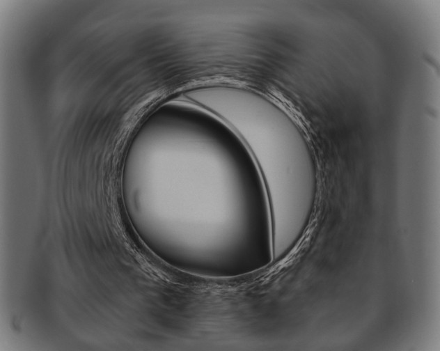 X0000092030193200709061358