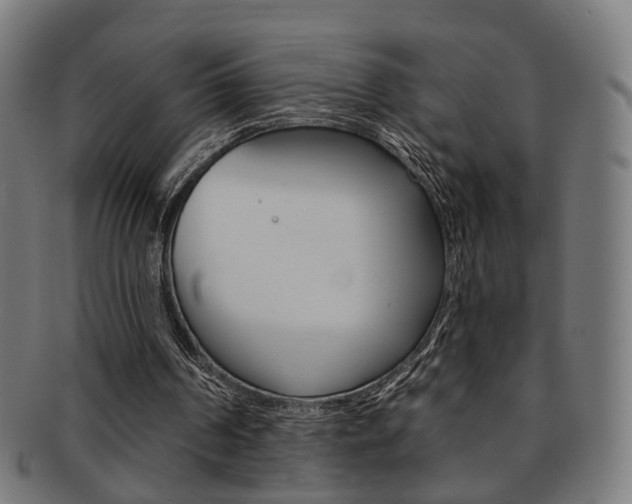 X0000092030194200709061358