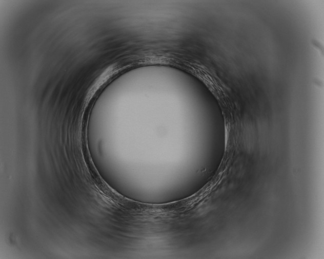 X0000092030195200709061357