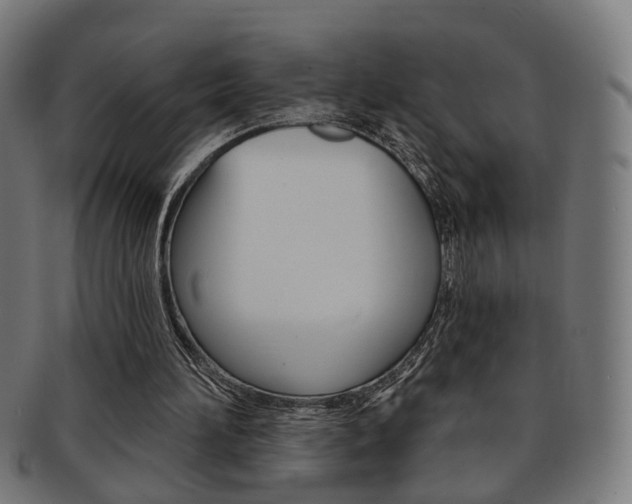 X0000092030196200709061357