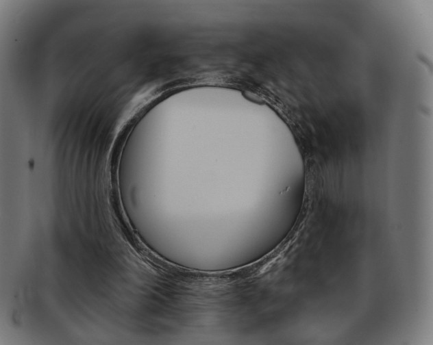 X0000092030198200709061357