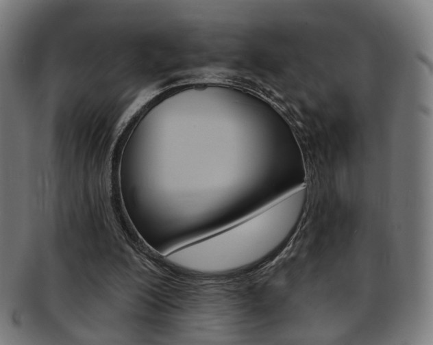 X0000092030200200709061357