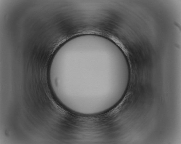X0000092030201200709061357