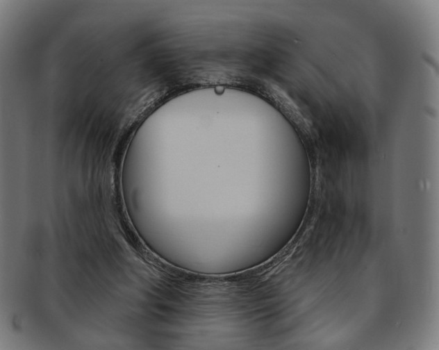 X0000092030202200709061357