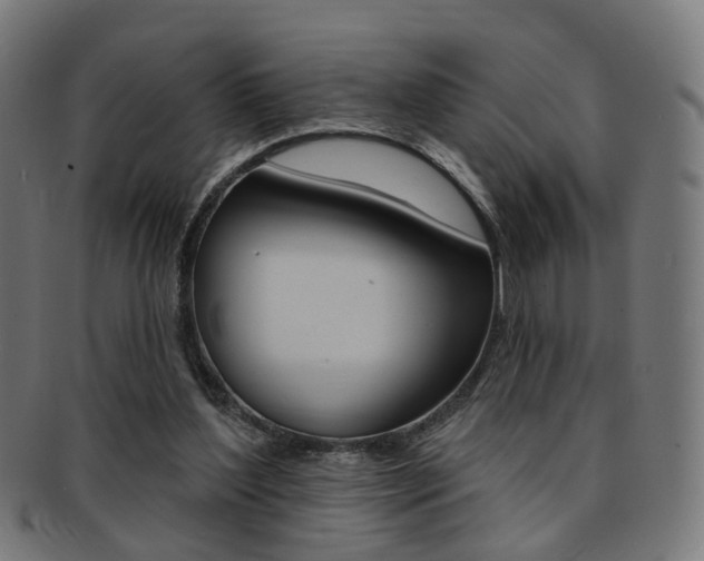 X0000092030204200709061357
