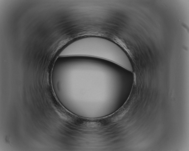 X0000092030205200709061357