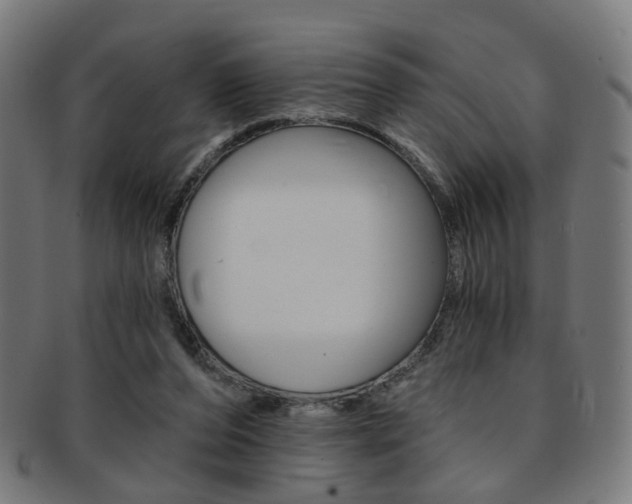 X0000092030208200709061357