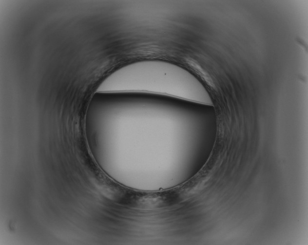 X0000092030213200709061357