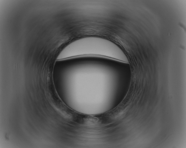 X0000092030215200709061357