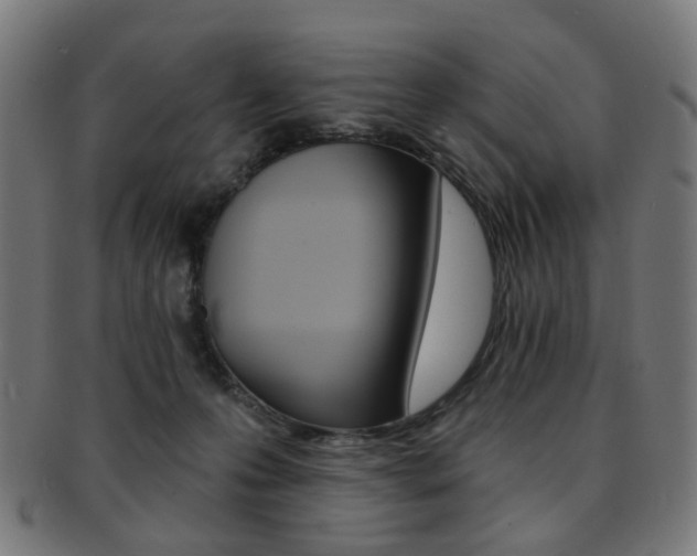 X0000092030223200709061357
