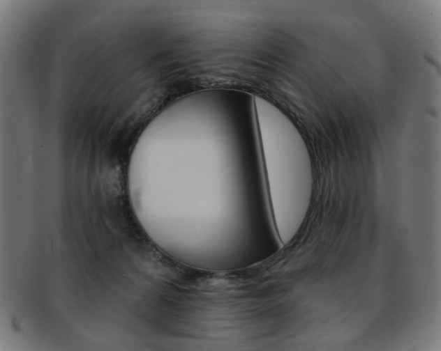 X0000092030224200709061357