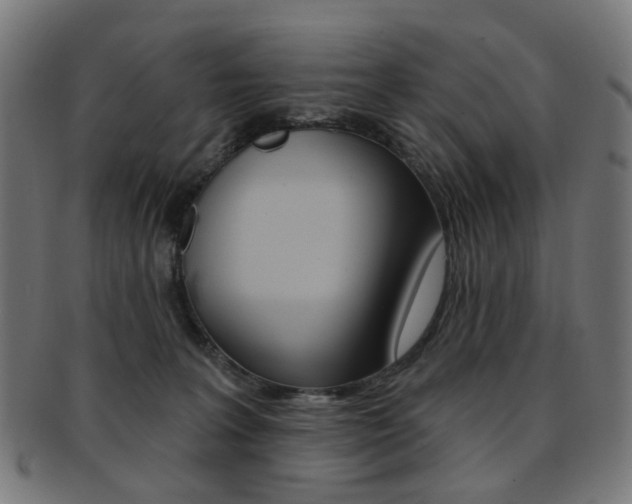 X0000092030227200709061357