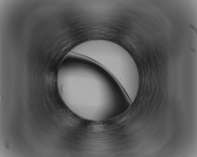 X0000092030228200709061357