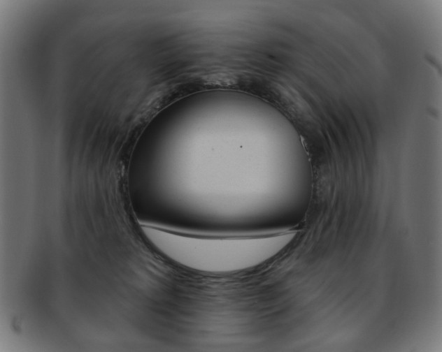 X0000092030229200709061357
