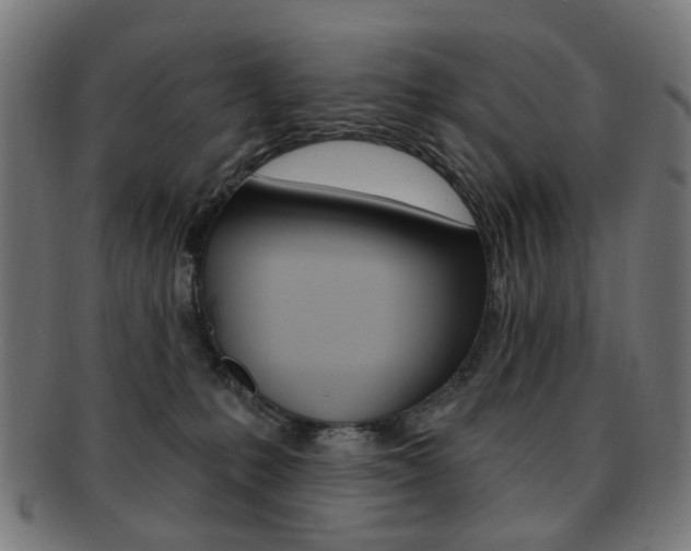 X0000092030231200709061357