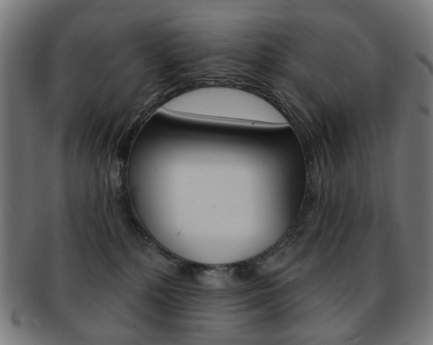 X0000092030232200709061357
