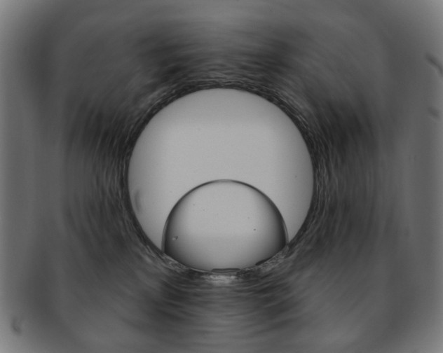 X0000092030233200709061357