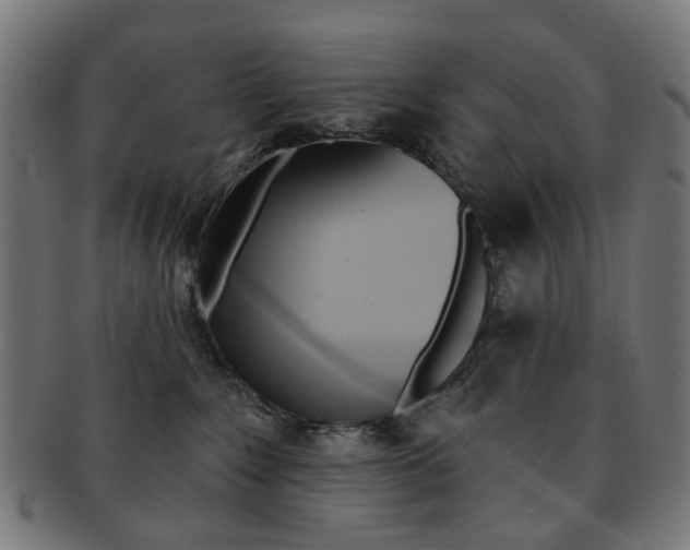 X0000092030235200709061357