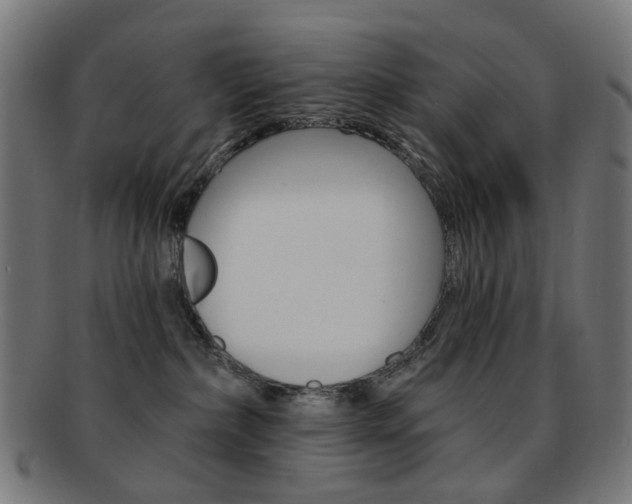 X0000092030236200709061357