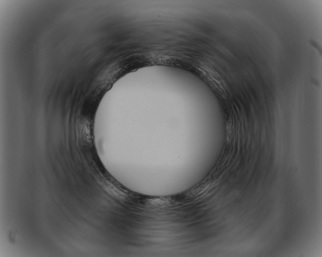 X0000092030238200709061357
