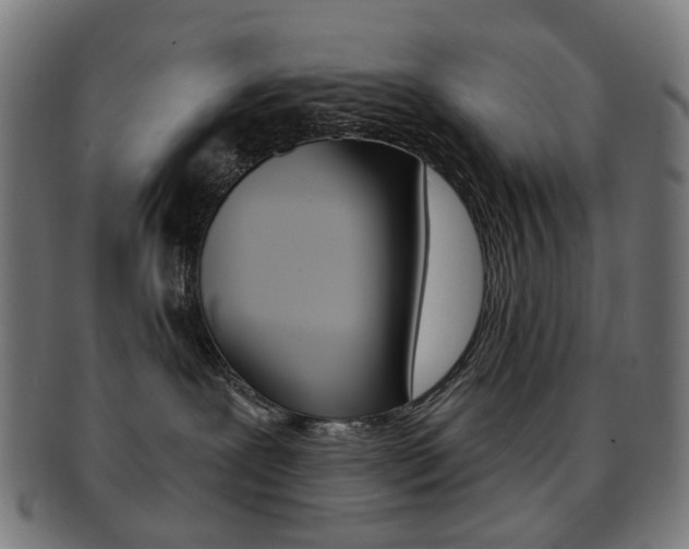 X0000092030239200709061357