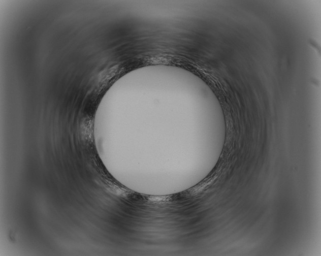 X0000092030240200709061357