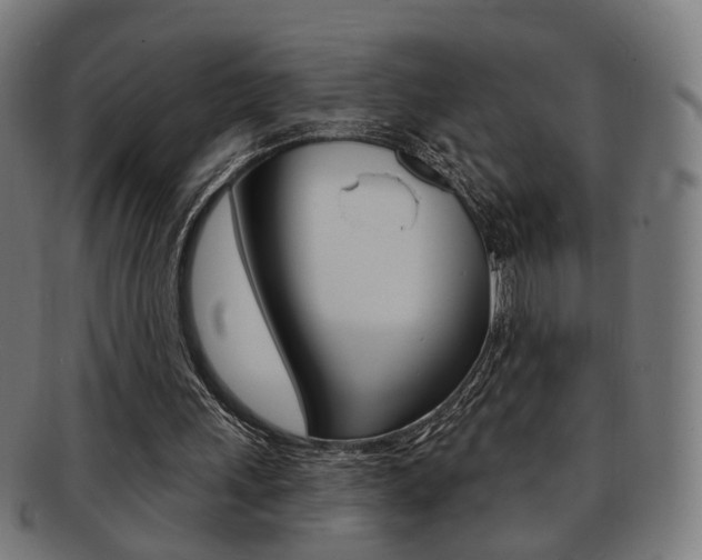 X0000092030243200709061356