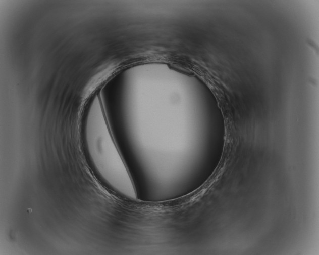 X0000092030245200709061356