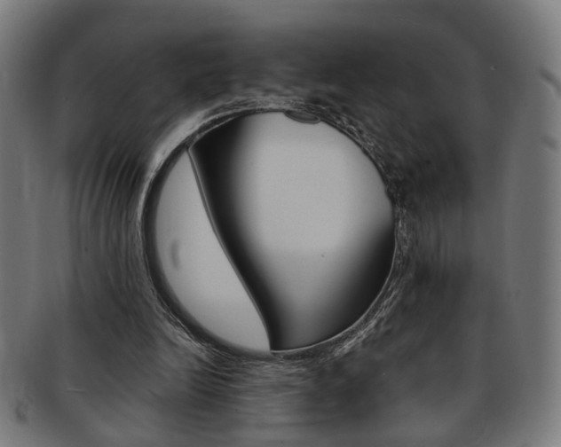 X0000092030246200709061356